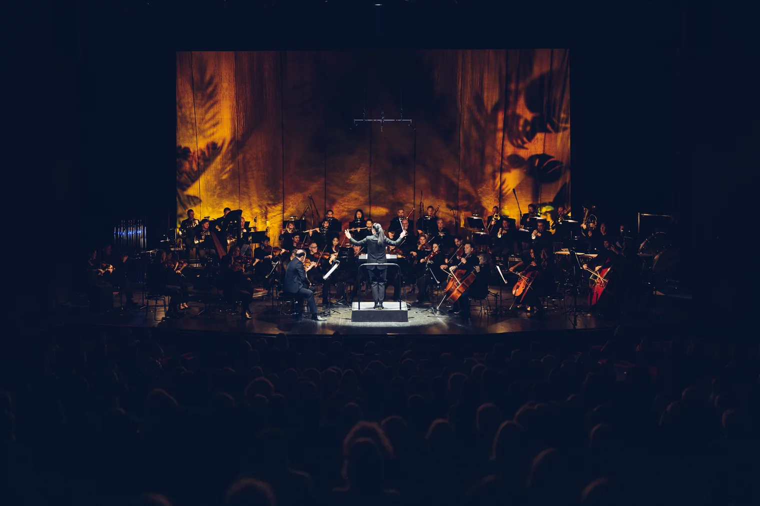 l'Orchestre de Chambre de Genève sur scène en plein concert